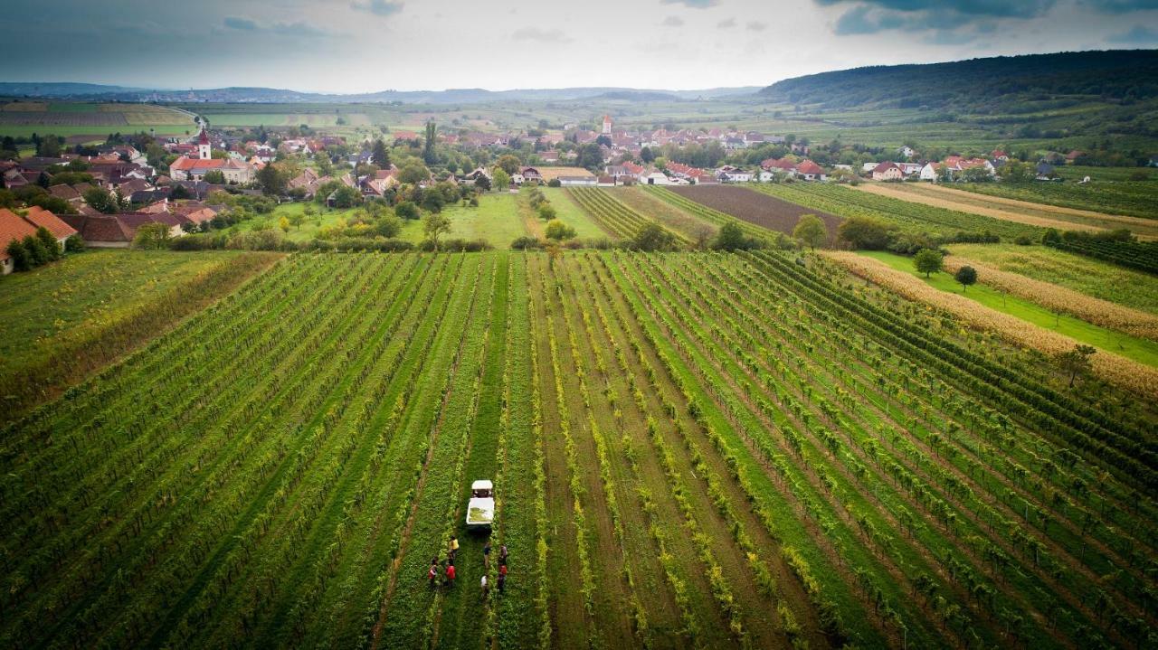 Weingut Familie Krell Hotel Mitterretzbach Exterior photo